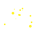 Outdoor Gym